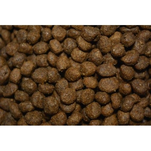 Winner Plus Puppy Starter kibble 3 kg
