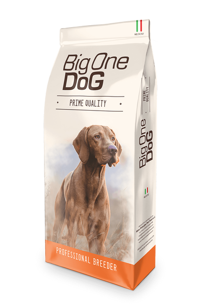 BIG ONE DOG PREMIUM MANTENIMENTO MAIALE RISO E MELA 18 KG