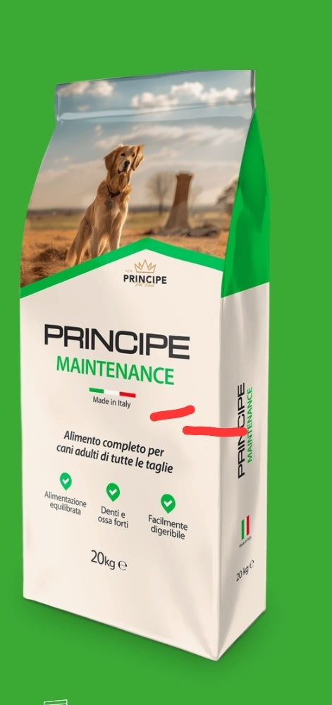 Big One Dog Basic Quality 20 kg 